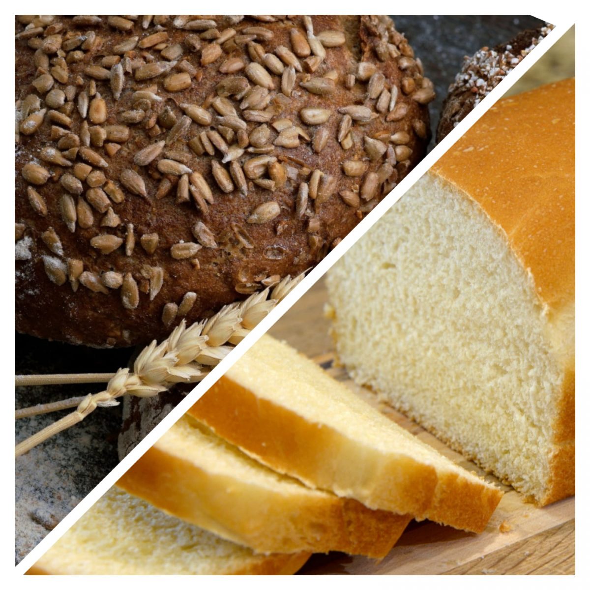 Immagine di un pane bianco e uno nero per l'articolo Carboidrati raffinati o integrali: cosa scegliere e quando