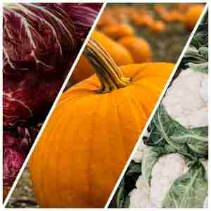 ricette autunnali zucca, cavolfiore e radicchio