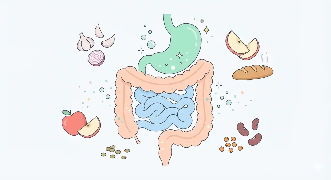 FODMAP cosa sono: alimenti, sintomi e strategie pratiche per gestire gonfiore intestinale